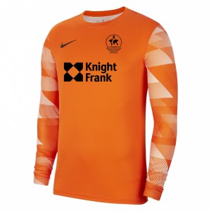 Nike Park IV Goalkeeper Dri-FIT Jersey