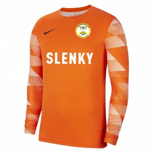 Nike Park IV Goalkeeper Dri-FIT Jersey