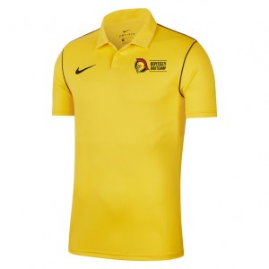 Nike Dri-fit Park 20 Polo