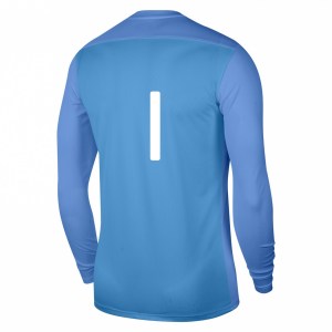 Nike Park VII Dri-FIT Long Sleeve Football Shirt