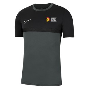 Nike Dri-FIT Academy Pro Tee