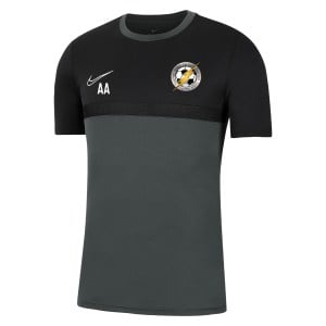 Nike Dri-FIT Academy Pro Tee