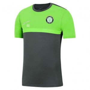 Nike Dri-FIT Academy Pro Tee