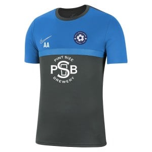 Nike Dri-FIT Academy Pro Tee