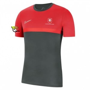 Nike Dri-FIT Academy Pro Tee