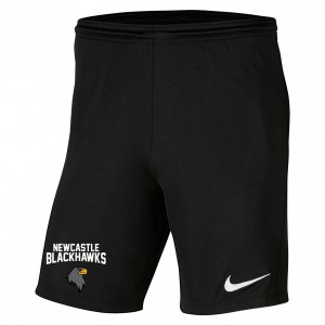 Nike Park III Shorts