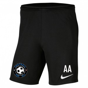 Nike Park III Shorts