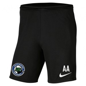 Nike Park III Shorts