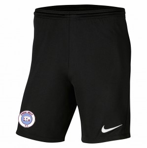 Nike Park III Shorts