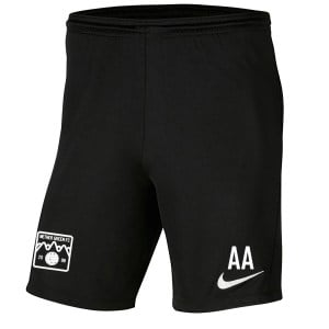 Nike Park III Shorts