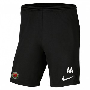 Nike Park III Shorts