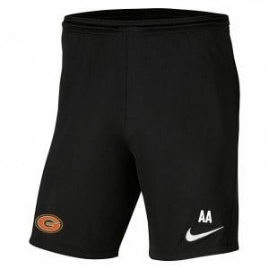 Nike Park III Shorts