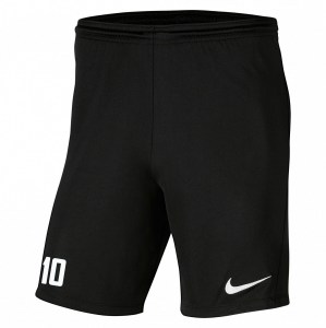 Nike Park III Shorts