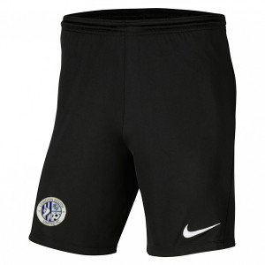 Nike Park III Shorts