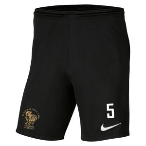 Nike Dri-FIT Park III Shorts