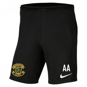 Nike Park III Shorts