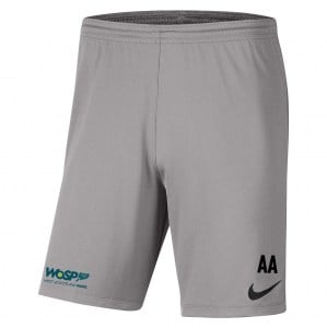 Nike Park III Shorts Pewter Grey-Black
