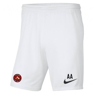 Nike Park III Shorts
