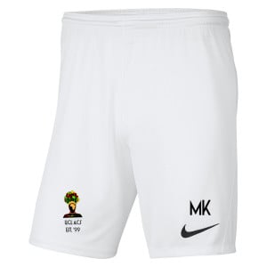 Nike Park III Shorts