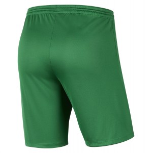 Nike Park III Shorts Pine Green-White