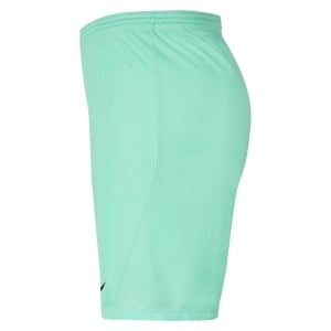 Nike Park III Shorts