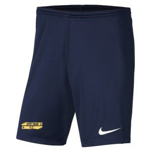 Nike Park III Shorts