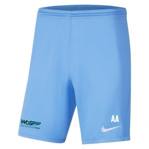 Nike Park III Shorts University Blue-White