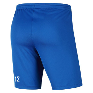 Nike Park III Shorts