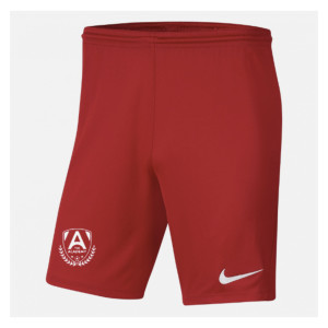 Nike Park III Shorts