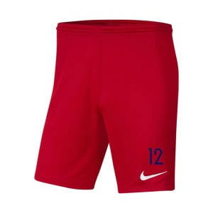 Nike Park III Shorts