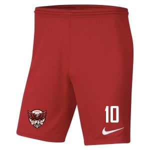 Nike Park III Shorts