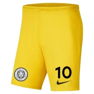 Nike Park III Shorts Tour Yellow-Black