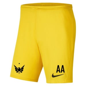 Nike Park III Shorts Tour Yellow-Black
