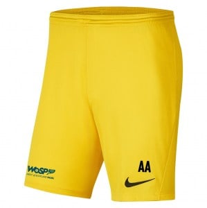 Nike Park III Shorts Tour Yellow-Black