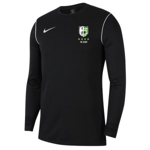 Nike Dri-FIT Park 20 Crew Top