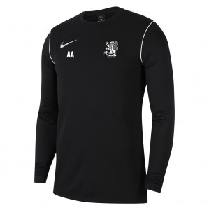 Nike Dri-FIT Park 20 Crew Top