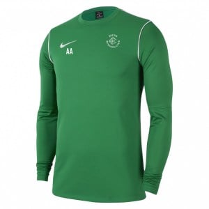 Nike Dri-FIT Park 20 Crew Top Pine Green-White-White