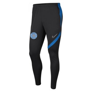 Nike Dri-FIT Academy Pro Tech Pants