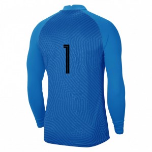 Nike Gardien III Goalkeeper Long Shirt Shirt