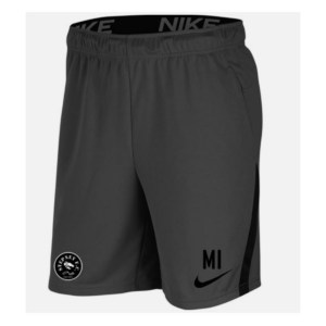 Nike Dri-FIT Training Shorts