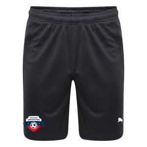 Puma Liga Core Shorts