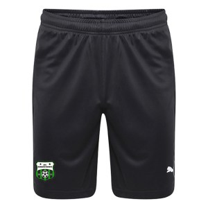 Puma Liga Core Shorts Black-White