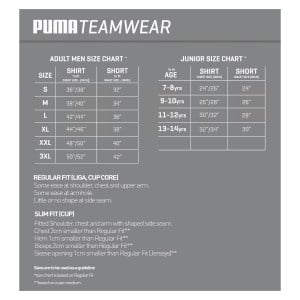 Puma Liga Core Shorts Black-White