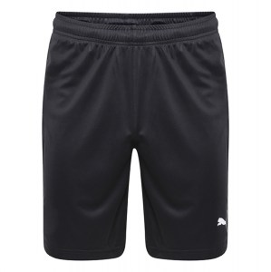 Puma Liga Core Shorts