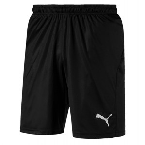 Puma Liga Core Shorts