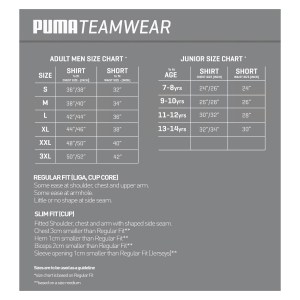 Puma Liga Core Shorts