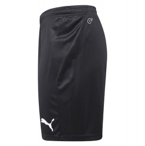 Puma Liga Core Shorts