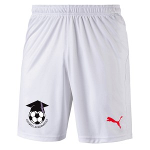 Puma Liga Core Shorts