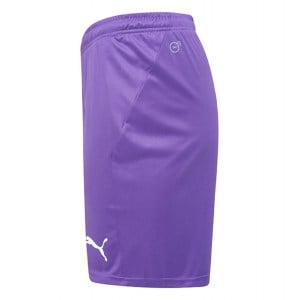 Puma Liga Core Shorts