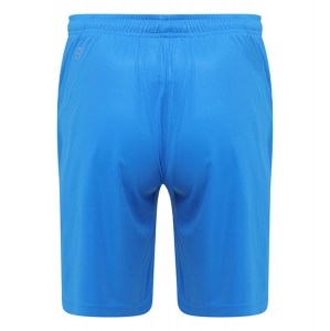 Puma Liga Core Shorts